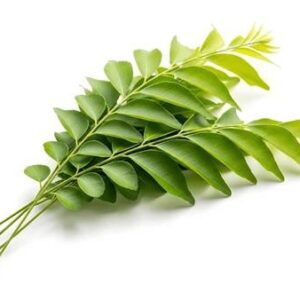 Curry leves (Kari Veppilai) -50g